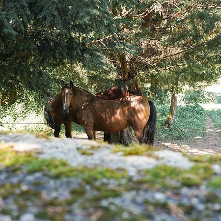 ホテル La Mouline Labastide-du-Vert エクステリア 写真